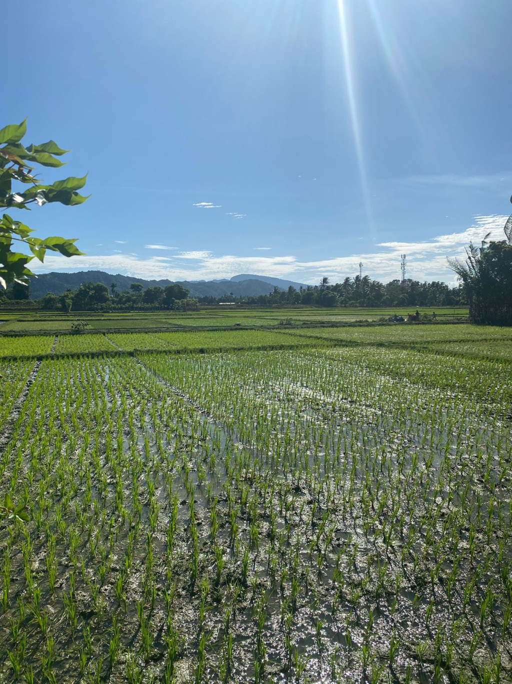 KOMUDITI GAMPONG KUTA KARANG